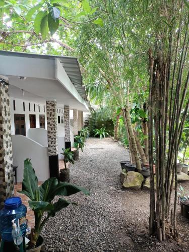 a garden in front of a building with trees at Brown Bamboo Guest house & jungle trekking orang-utan in Bukit Lawang