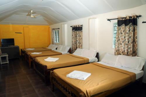 a group of four beds in a room at JUNGLE PARADISE FARM & GUEST HOUSE in Masinagudi