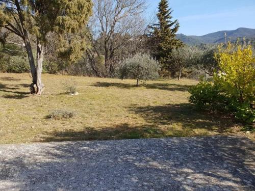 un champ d'herbe avec un arbre et une route dans l'établissement Résidence Lou Cigaloun - ANA LOCATION, à Gréoux-les-Bains