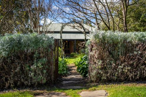 a garden with two large bushes in front of a building at Secret Garden - Luxury Cottage - Giant 85inch TV in McLaren Vale