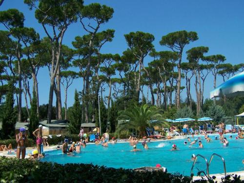 Het zwembad bij of vlak bij Chalet in Toskana Viareggio Italie nabij Zee, Strand, Airconditioning, Zwembad, Wifi