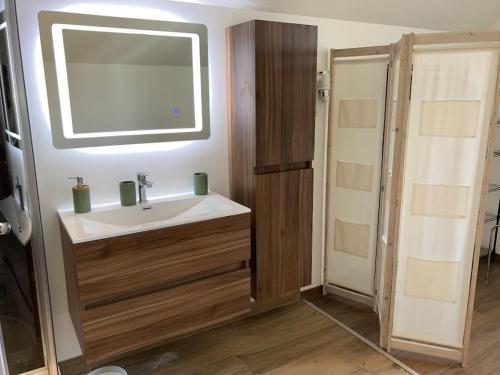 une salle de bain avec un lavabo et une douche dans l'établissement Gite Chez Livia Hautes Vosges, à Bruyères