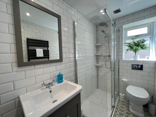 a bathroom with a sink and a shower and a toilet at Dragonfly - HOT TUB luxury two bedroom cottage in Cellardyke