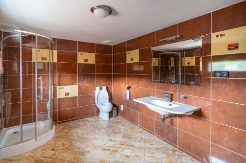 a bathroom with a toilet and a sink and a shower at Leone Penzion&Restaurant in Harichovce