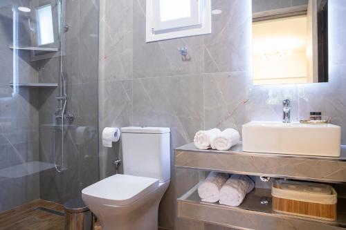 a bathroom with a toilet and a sink at Elena luxury living in Paralía Skotínis