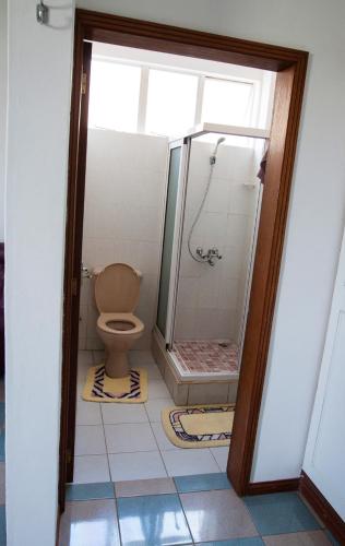 トゥル・オ・ビッシュにあるThe Impala Mauritius Bed & Breakfastのバスルーム(シャワー、トイレ付)