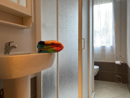 uma casa de banho com um lavatório e uma porta de duche em vidro. em Giovanna em Rosolina Mare