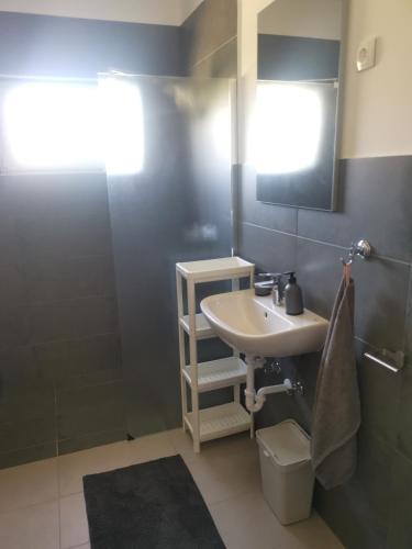 a bathroom with a sink and a shower at Podlovics Tanya Panzió in Kemecse