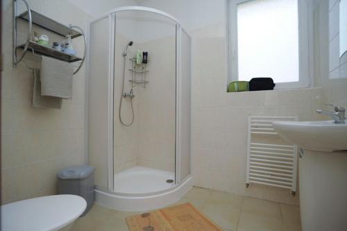 uma casa de banho com um chuveiro, um WC e um lavatório. em Penzion U Elišky Bedřichov V Jizerských Horách em Bedřichov