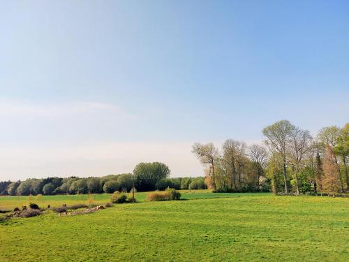 a field of green grass with trees in the background at LES JACQUEMARTS NORMANDS Maison d'hôtes - Guesthouse in Belmesnil