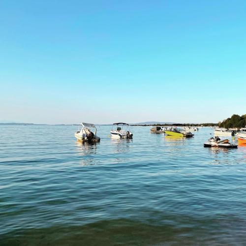 a group of boats sitting in the water at Makis Nest Apart-Hotel in Vourvourou