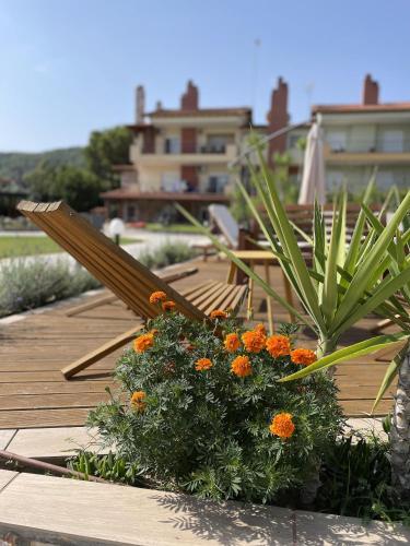 a wooden deck with a bunch of flowers on it at Makis Nest Apart-Hotel in Vourvourou