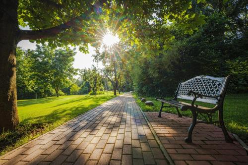Κήπος έξω από το Parkhotel Maasberg GmbH