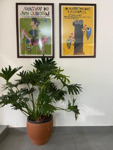 a plant in a pot next to two posters on a wall at Habitat15@airlines in Bengaluru