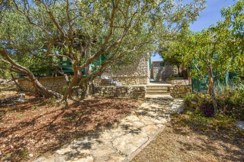 Κήπος έξω από το House OLIVA