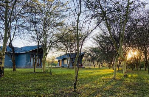 a house in the middle of a field with trees at Mara Sweet Acacia Lodge in Talek