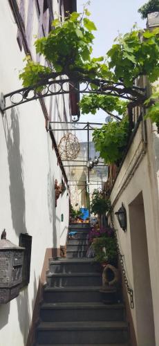 an alley with stairs and plants in a building at Casa Servatius in Briedel