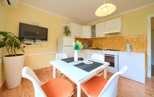 a kitchen with a table and chairs and a tv at Apartmani Sabina in Fužine