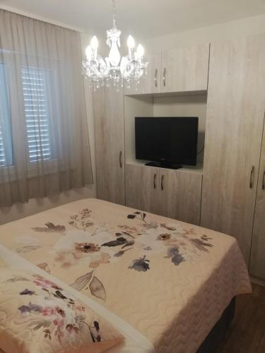 Μια τηλεόραση ή/και κέντρο ψυχαγωγίας στο Apartments Vini