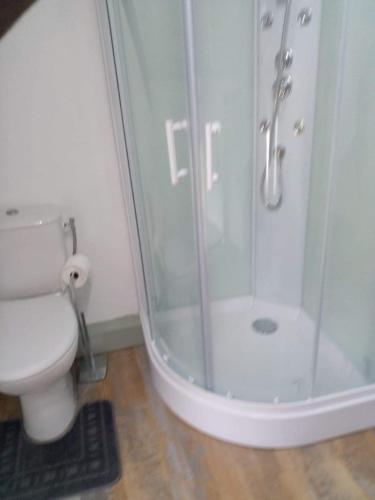 a bathroom with a shower with a toilet and a sink at Picturesque holiday cottage Britanny France in Treuscoat