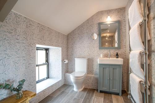 a bathroom with a toilet and a sink and a mirror at The White Lion Cowbridge in Cowbridge