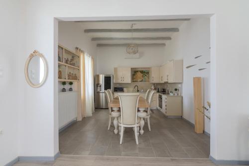 Η κουζίνα ή μικρή κουζίνα στο Ble Oneiro villa CRYSTAL
