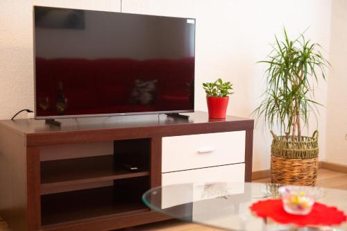 a flat screen tv on a wooden entertainment center with two plants at Apartmani Sabina in Fužine
