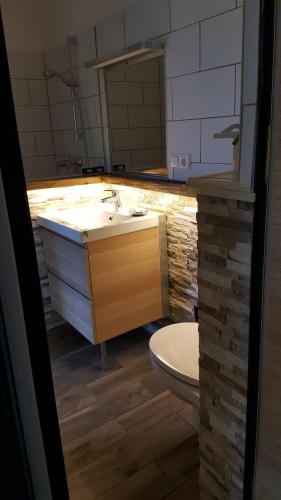 a bathroom with a sink and a toilet at Haus Wieser in Lienz