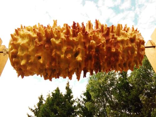 a close up of a swarm of food hanging from a pole at Biebrza24 - Agroturystyka in Sztabin