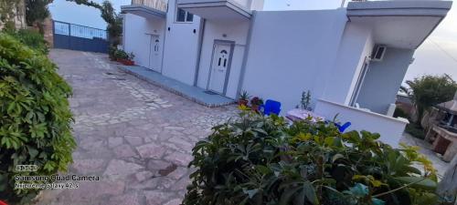 a house with a stone walkway next to a building at Xuxi Apartments in Lukovë