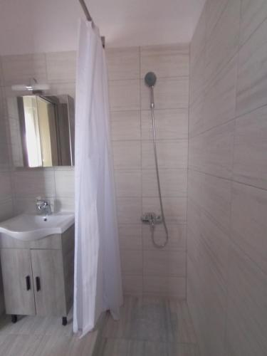 a bathroom with a shower and a sink at Katerina apartment in Nea Plagia