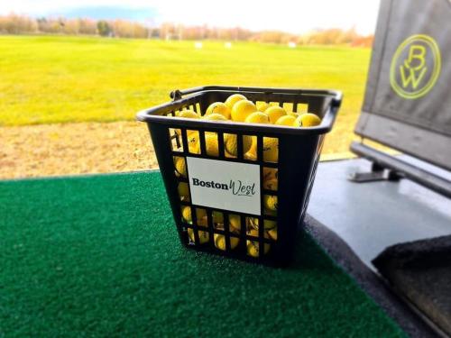 a basket filled with lemons sitting on a field at Boston West Hotel in Boston