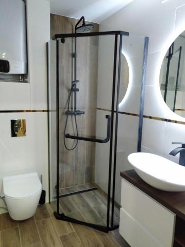 a bathroom with a shower and a sink at Apartament Bel Posto in Sanok