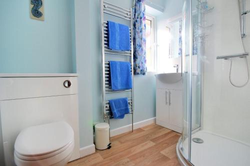 a bathroom with a toilet and a shower and a sink at Bridge House Apartment in Charmouth