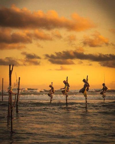 a group of people dancing on the beach at Villa Sun Rising in Talpe