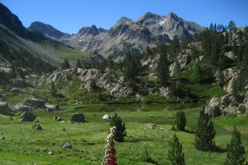 a mountain view of a field with trees and mountains at Hotel Saliecho in Formigal