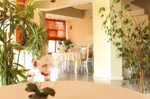 a dining room with tables and potted plants at Hotel Autostrada (Highway) in Kashari