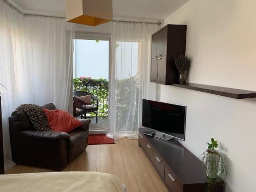 TV a/nebo společenská místnost v ubytování Apartamenty Tęcza