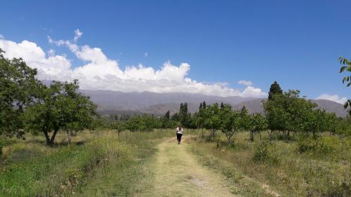 a person walking down a dirt road in a field at Cuesta de san miguel in Chilecito