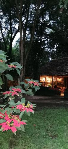 Gallery image of IBRAHIM Garden Hostel in Arusha