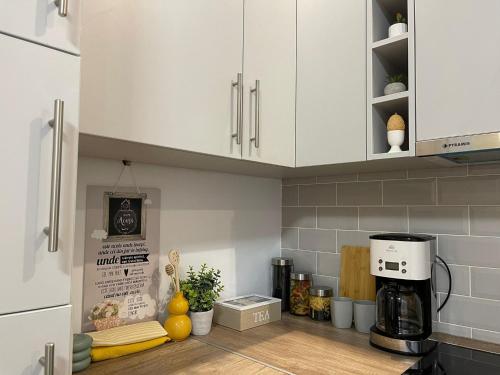 Dapur atau dapur kecil di NOVA lake apartamente wild jungle