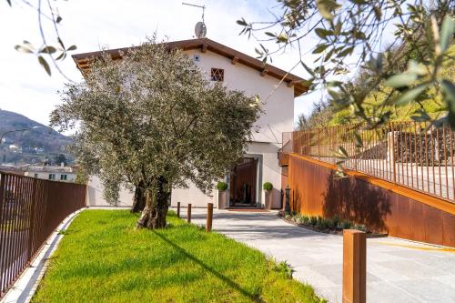 uma casa com uma árvore no jardim da frente em Il Pradicciolo Agriturismo em Castelnuovo di Garfagnana