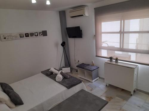 New Central Studio and Parking Zamarrilla