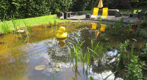 a rubber duck in a pond in a garden at Le Relais des Fagnes in Sart-lez-Spa
