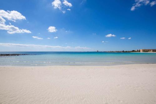 Bilo Conchiglia Blu by BarbarHouse – Photos 2