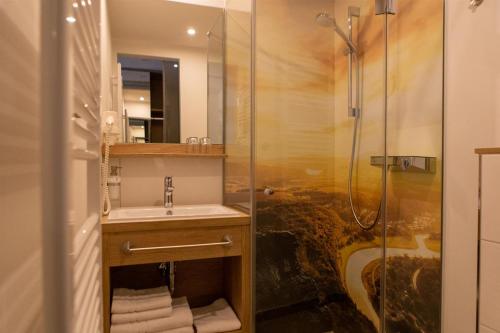 een badkamer met wastafel en douche bij Hotel garni Grundmühle in Bad Schandau