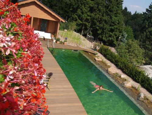 eine Person, die in einem Pool im Hinterhof schwimmt in der Unterkunft Gasthaus Kobär in Kurort Altenberg