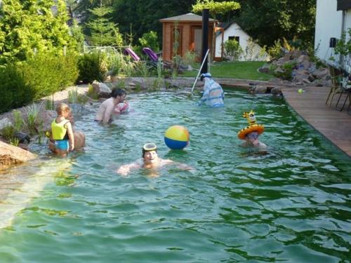 a group of people playing in a swimming pool at Gasthaus Kobär in Kurort Altenberg