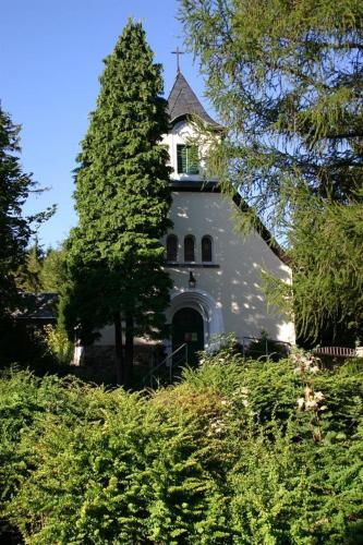 a large white house with a large tree at Gasthaus Kobär in Kurort Altenberg