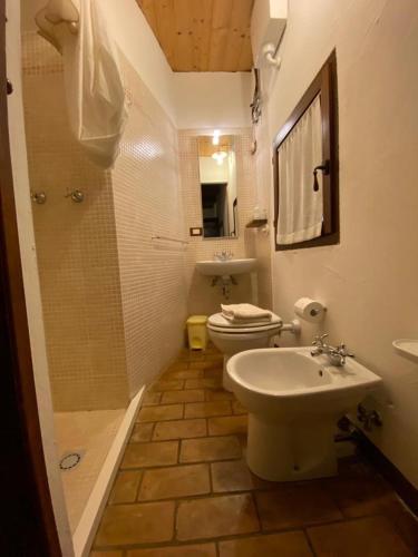a bathroom with a sink and a toilet and a shower at Agriturismo Bassara Le Capanne in Argenta